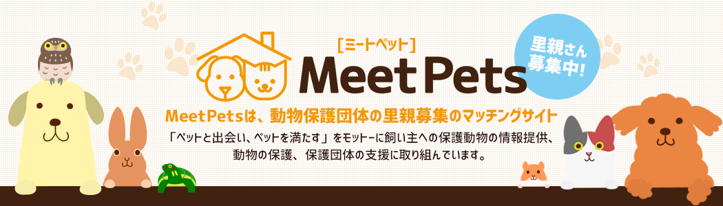 MeetPetsは、動物保護団体の里親募集のマッチングサイト。「ペットと出会い、ペットを満たす」をモットーに飼い主への保護動物の情報提供、動物の保護、保護団体の支援に取り組んでいます。